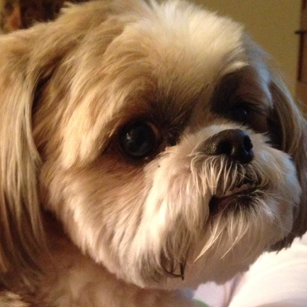 Meet your Posher, Deborah